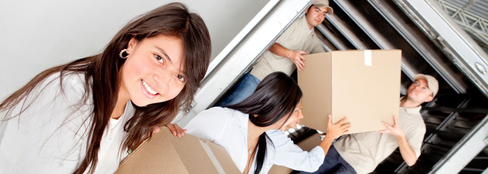 Professional Removalists Pine Mountain QLD